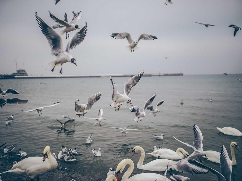 sudoku color sudoku screenshot 4